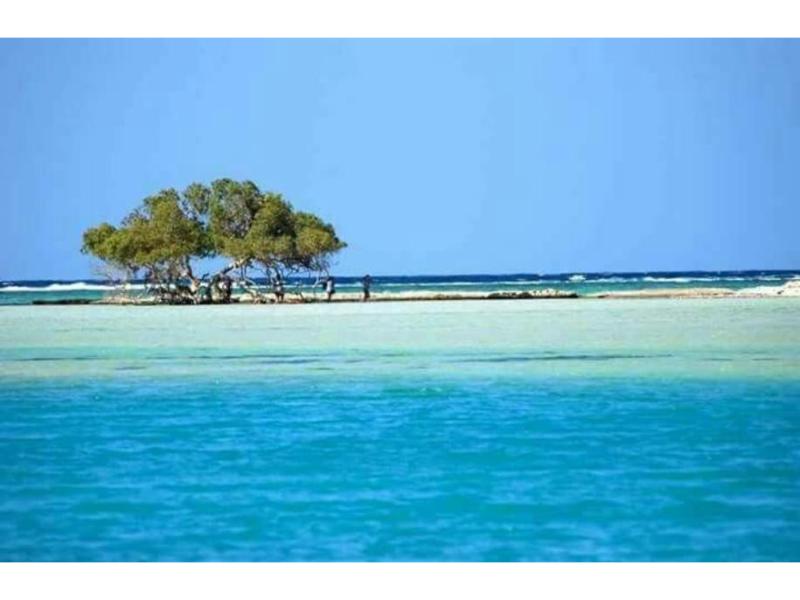 8 Reasons to Visit Marsa Alam